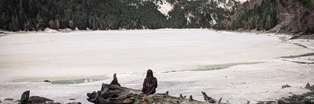 Pinkitty🌲 banner