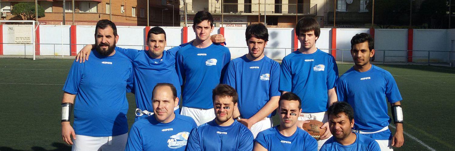 Mollet Dolphins banner