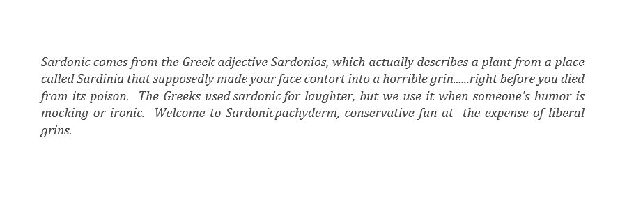 sardonicpachy's profile banner image