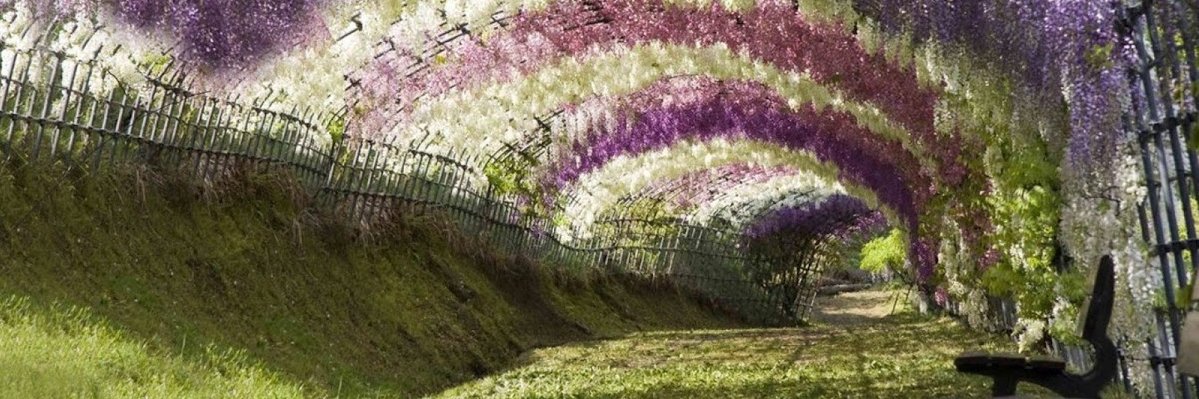 John Berry (aniccia.bsky.social) banner