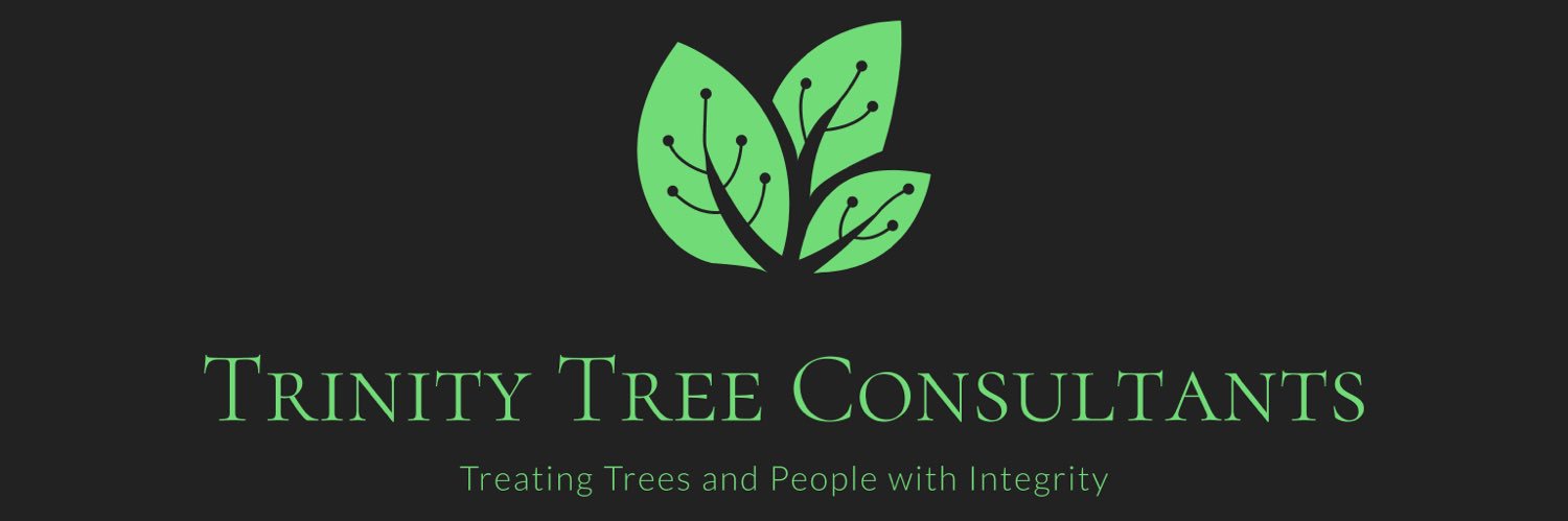 brtreeguru's profile banner image