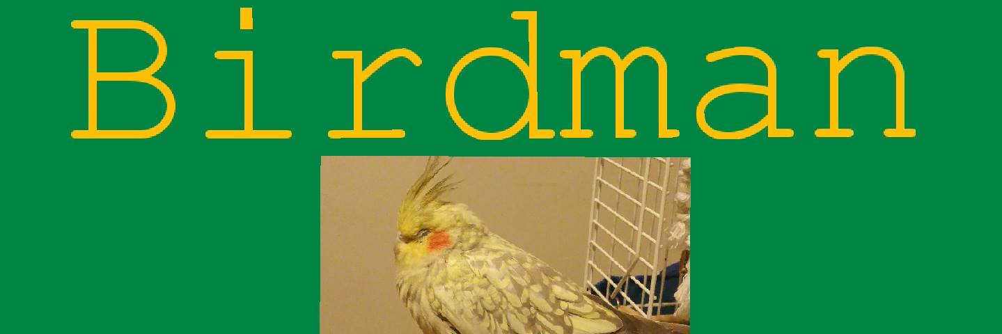 BirdmanAliC's profile banner image