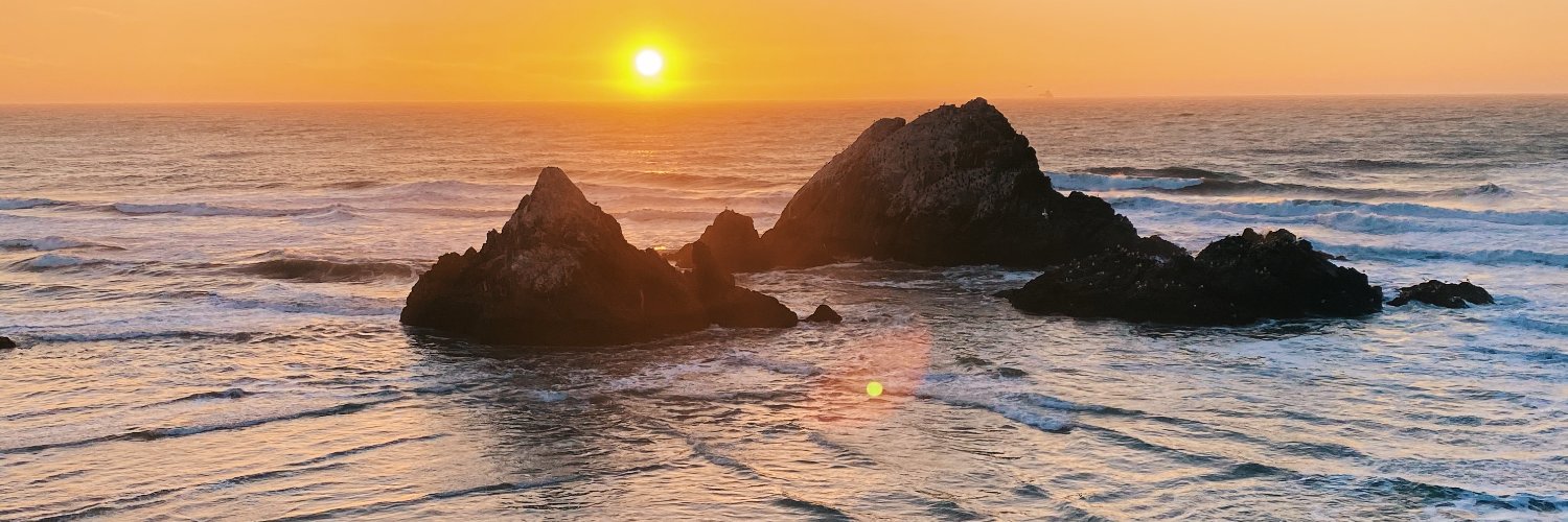 Katie Margillo banner