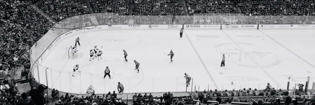 Capstone Hockey Services banner