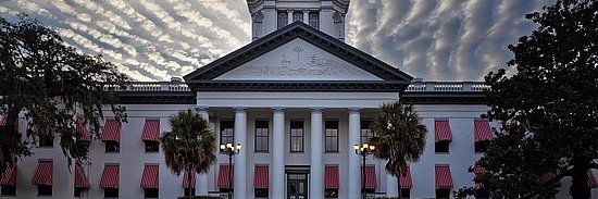 William W. Large banner