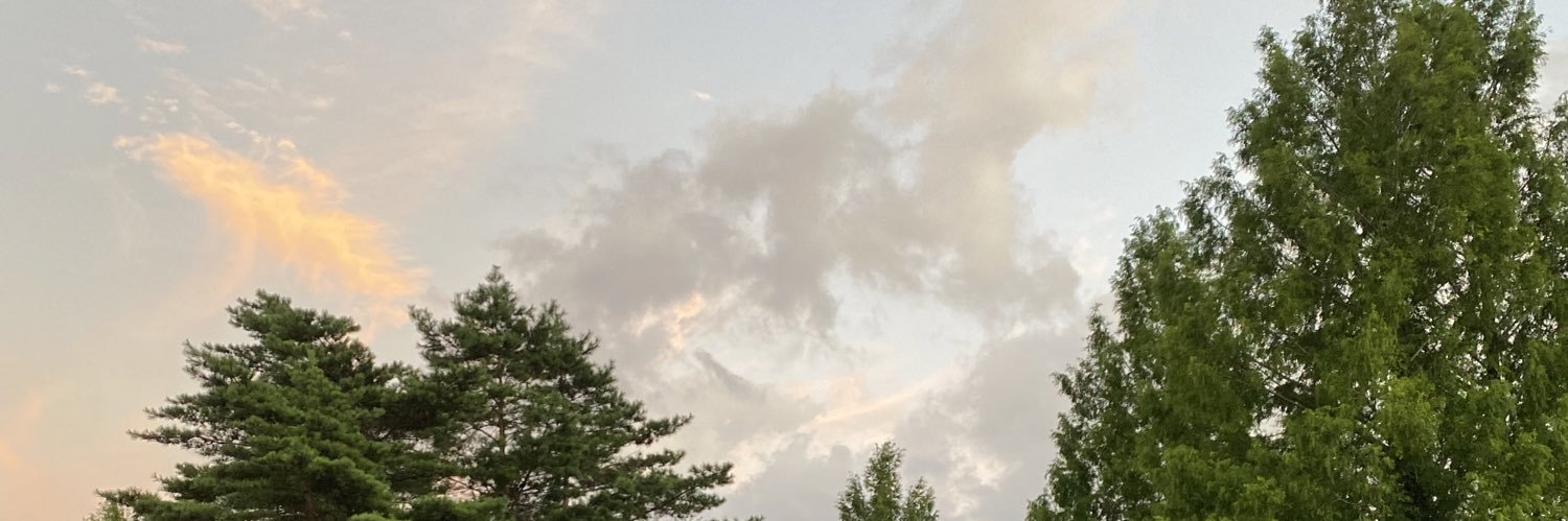 shin23__'s profile banner image