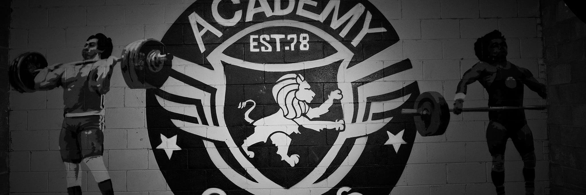 academyoflions's profile banner image