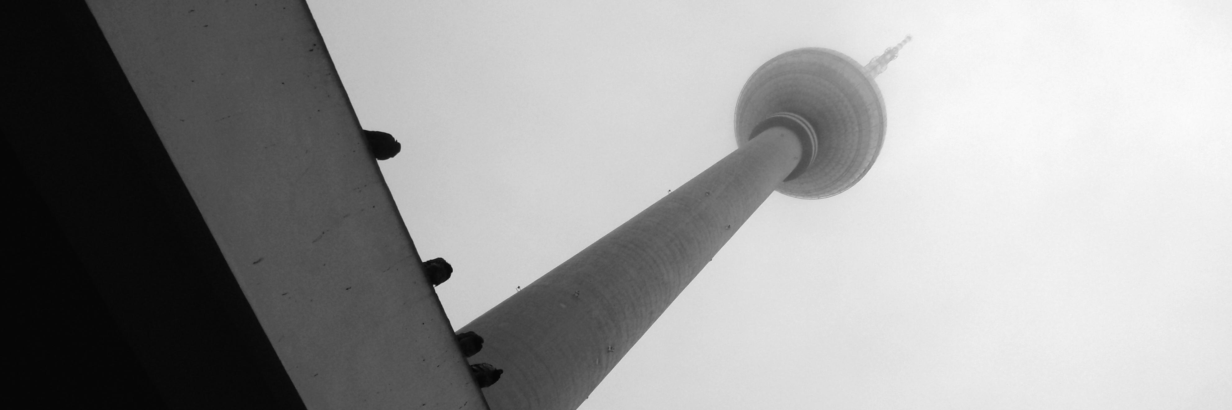 luca_iorio's profile banner image