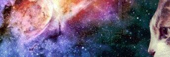 anaaanan_'s profile banner image