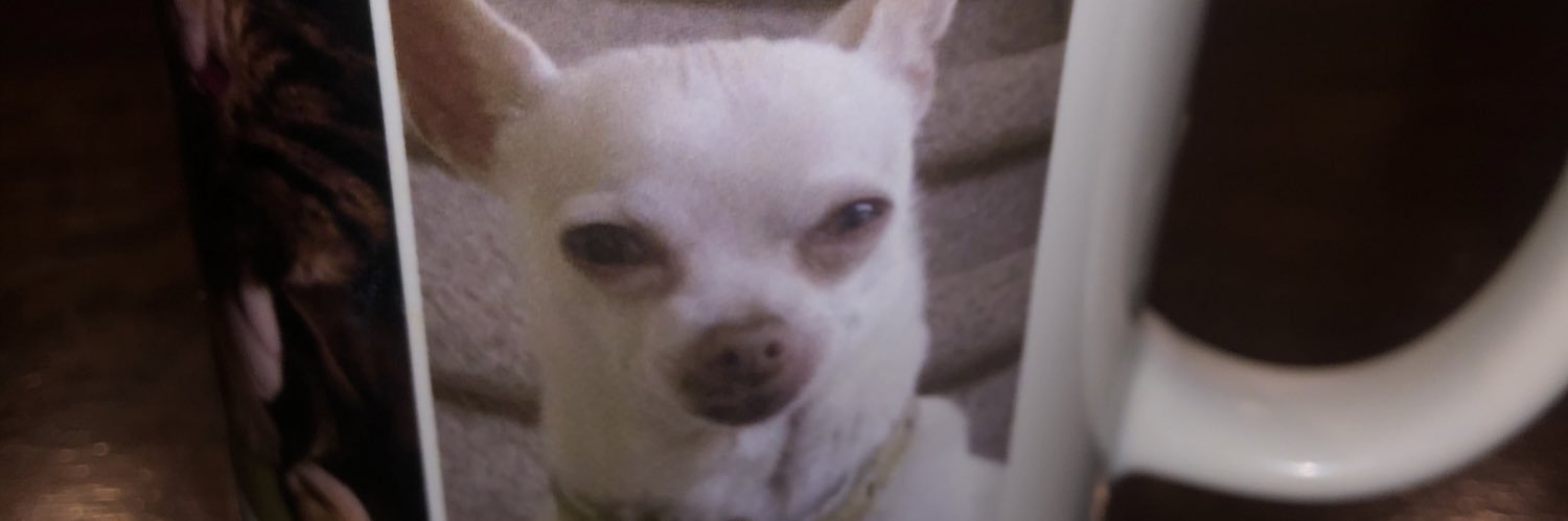 mollylynae's profile banner image
