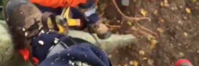 AdrianVestering's profile banner image