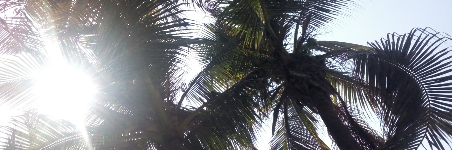 soletcheverriaa's profile banner image