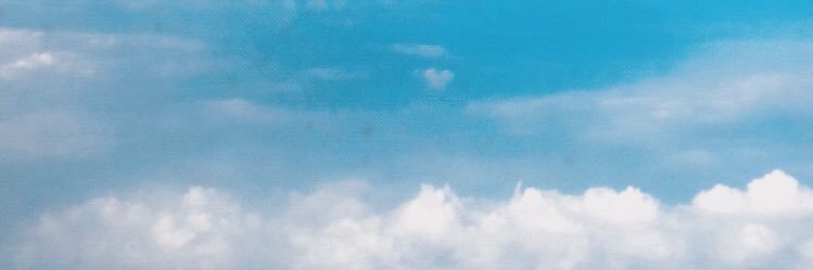 ♡ ebifebi ♡ banner