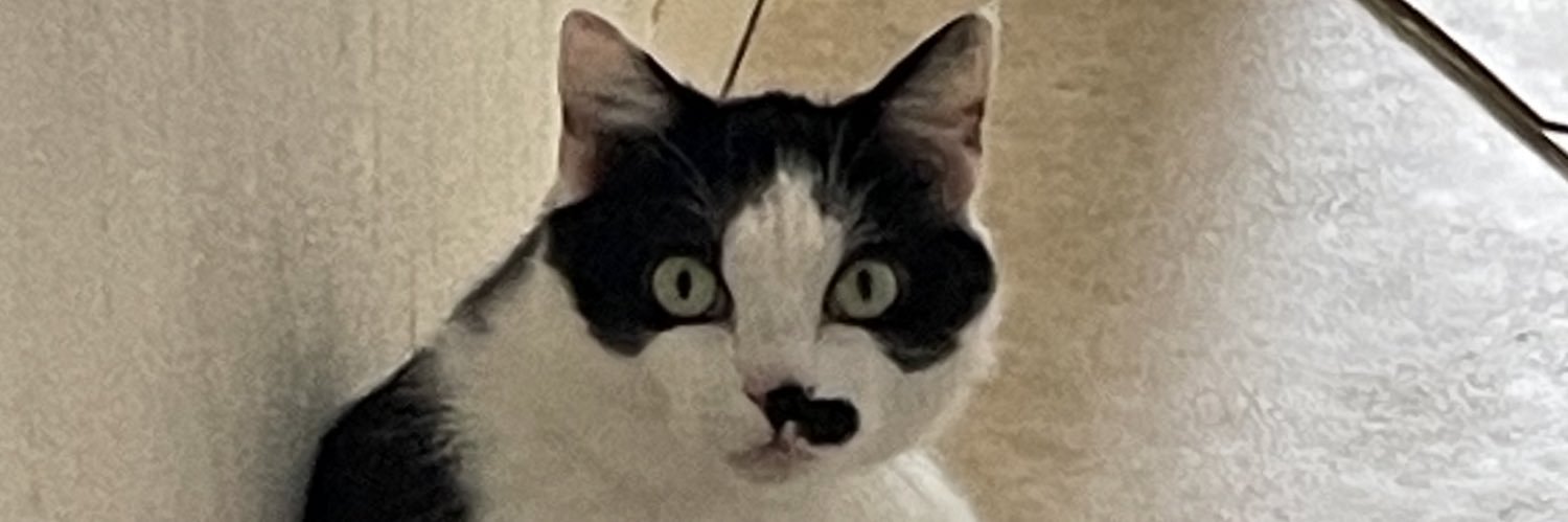 TeddPou's profile banner image