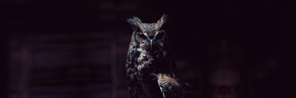 TonyMcEachern's profile banner image