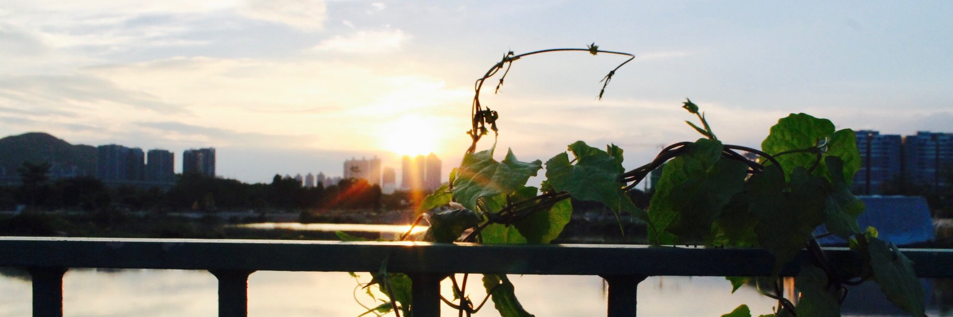 lydiaaa_grace's profile banner image