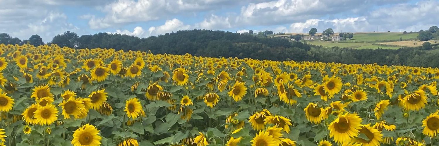 emma fitzgerald banner