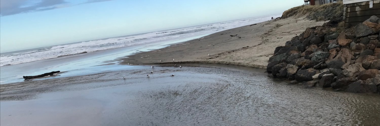 Channel61's profile banner image