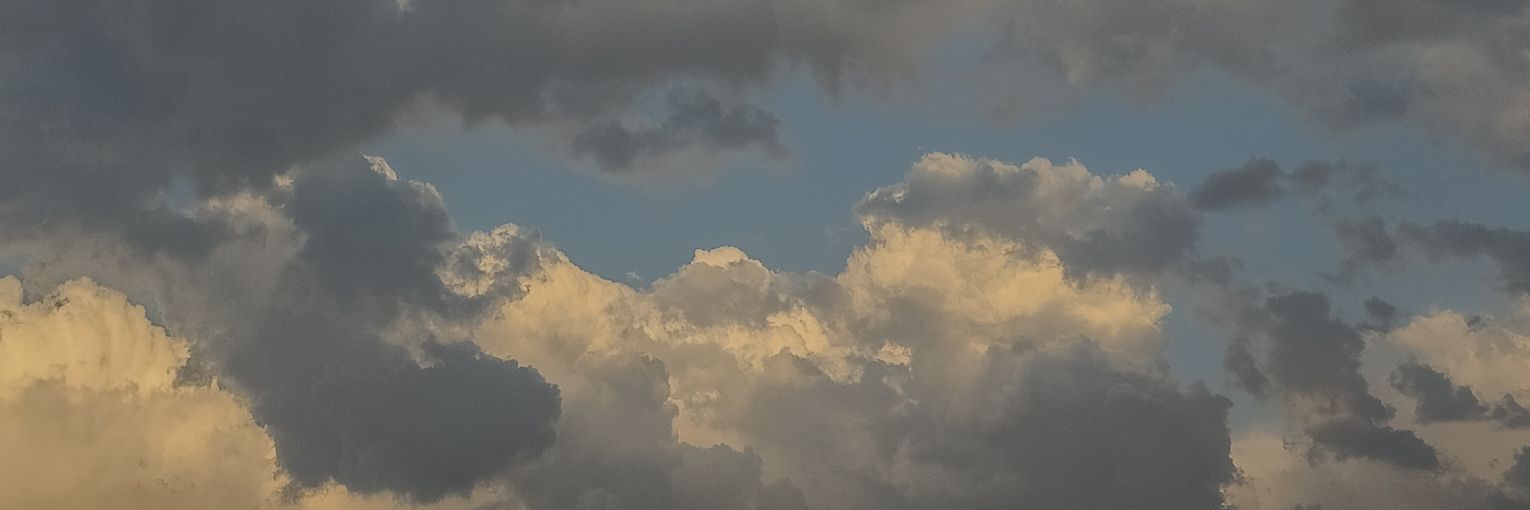 tapsmiranda's profile banner image