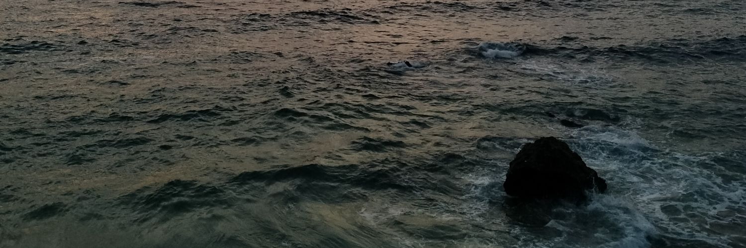 CarlosRdeBrea's profile banner image