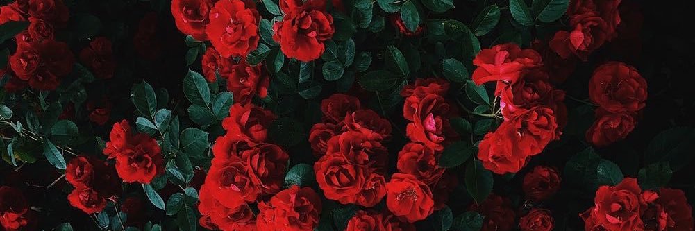 poxajana__'s profile banner image