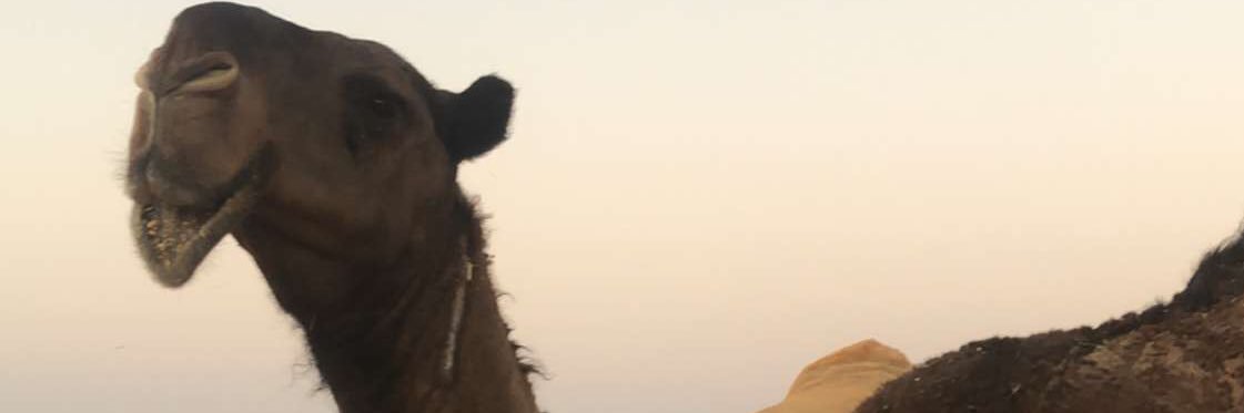 AlTheab1's profile banner image
