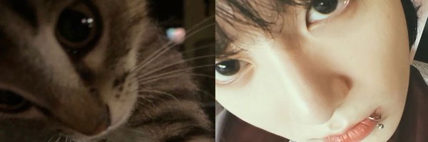 k4twcz Profile Banner