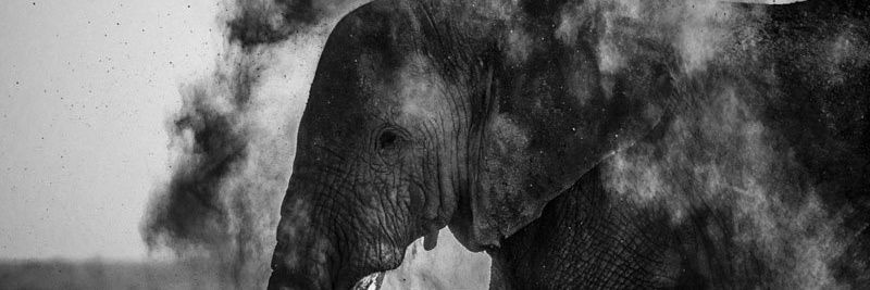 OHAMUD's profile banner image