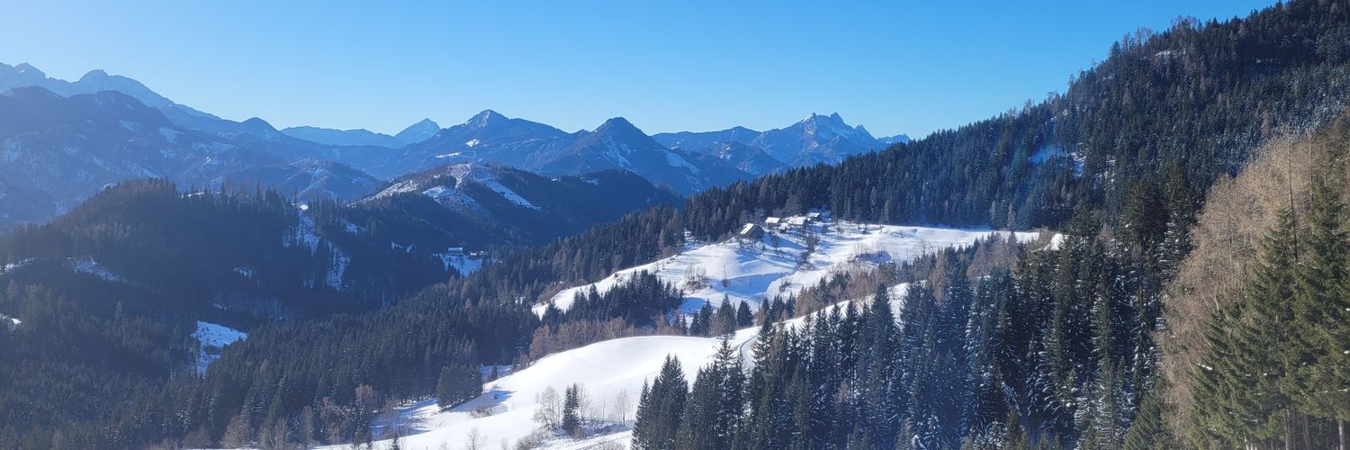 Michaela Kauer banner