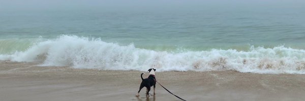 IzzyrBaker Profile Banner