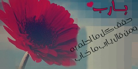 meshalo511's profile banner image