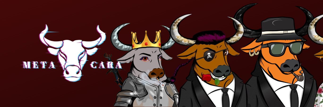 metacara_'s profile banner image