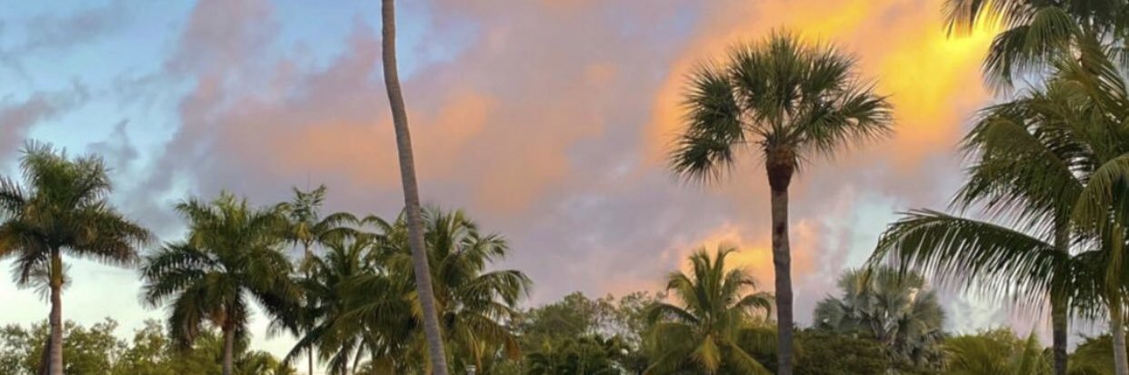 violeprez's profile banner image