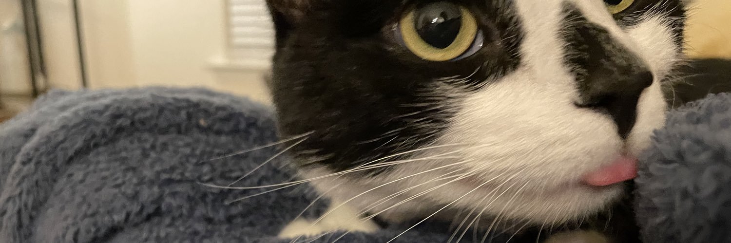stgrump's profile banner image