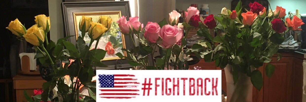 Lady Knight Rose🌹 banner