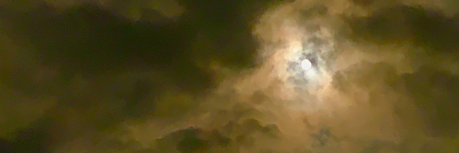 LunaRanjit's profile banner image