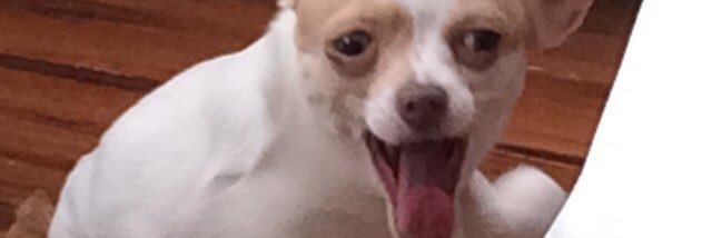 josh_nail's profile banner image