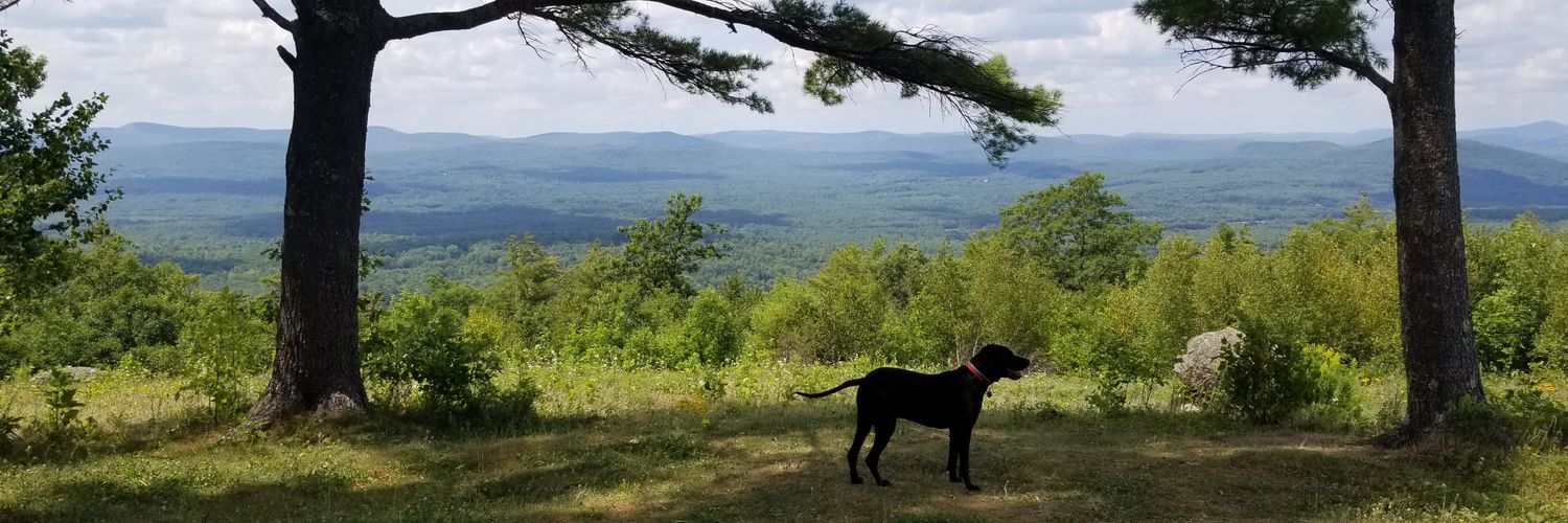 MEFDOX's profile banner image
