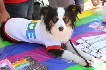 CR Pride banner