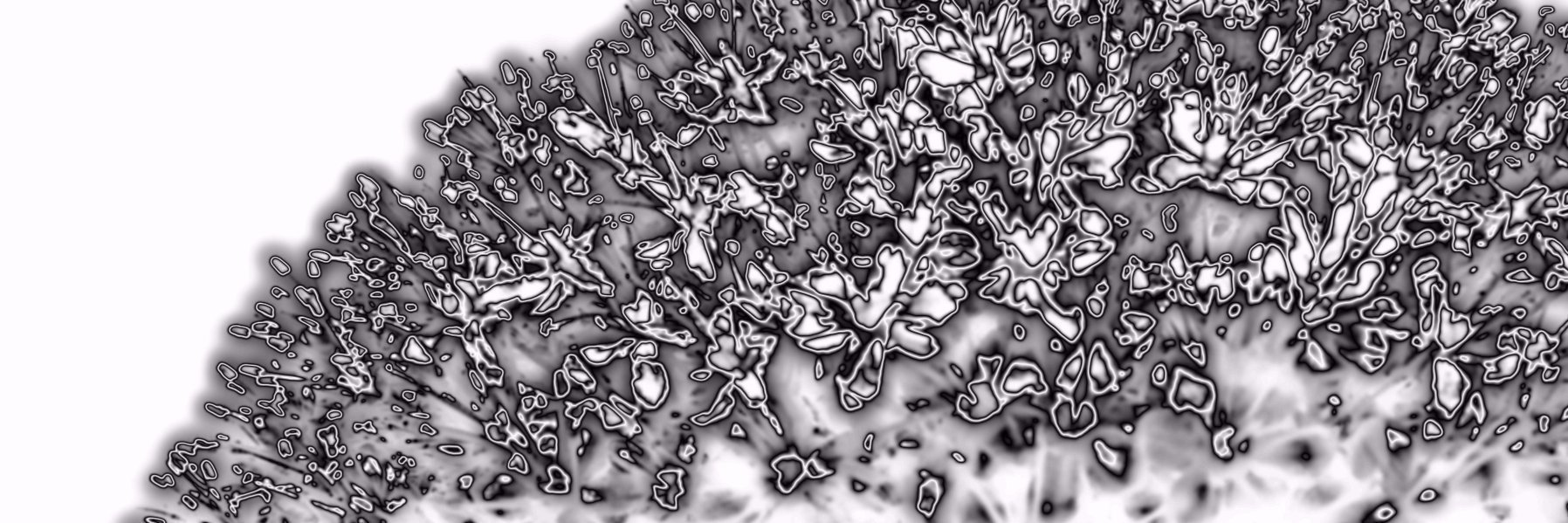 George K 🇪🇺 🇳🇱 banner