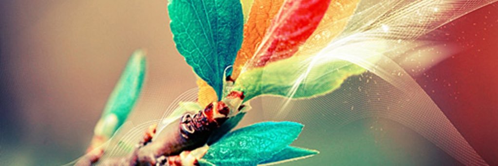 patty_nd's profile banner image