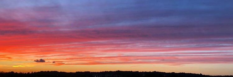 Joe Grace banner