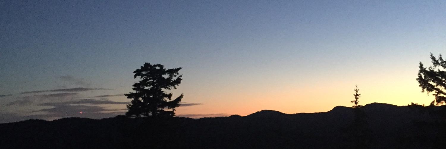 CarlyBernays's profile banner image