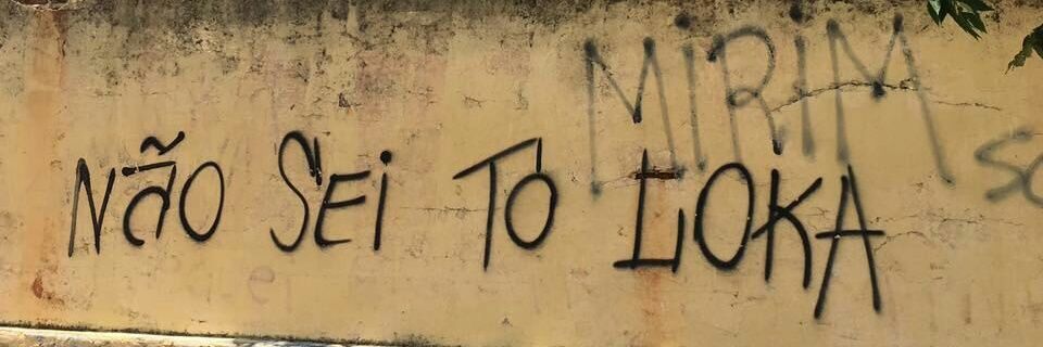 mlr plmddls banner