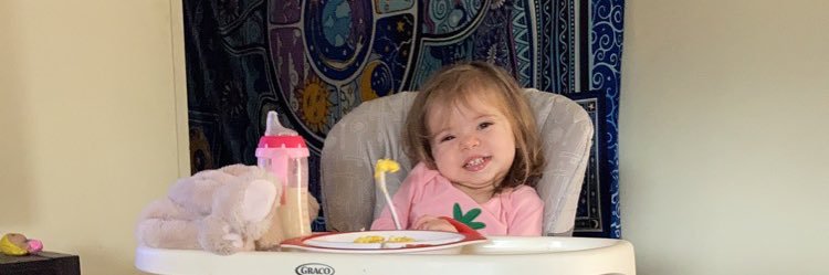 taylorallensc's profile banner image