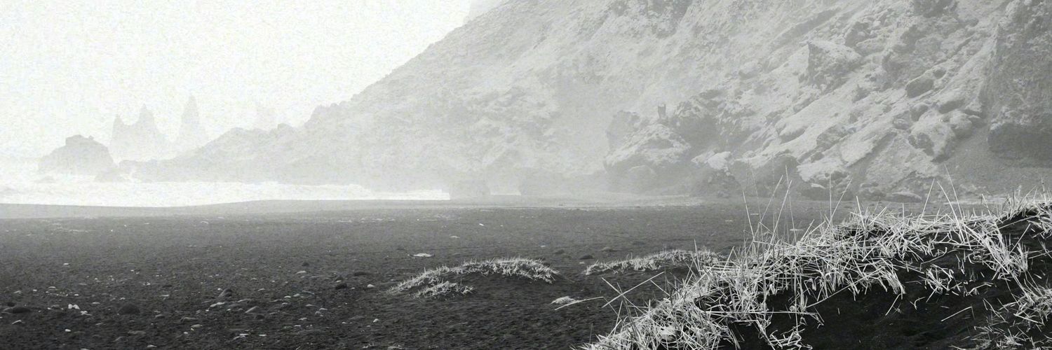 noicared's profile banner image