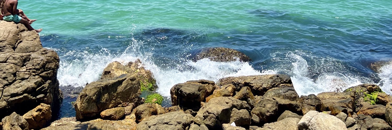 melicampos3's profile banner image
