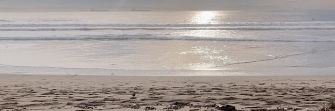 Alexislovesyuu's profile banner image