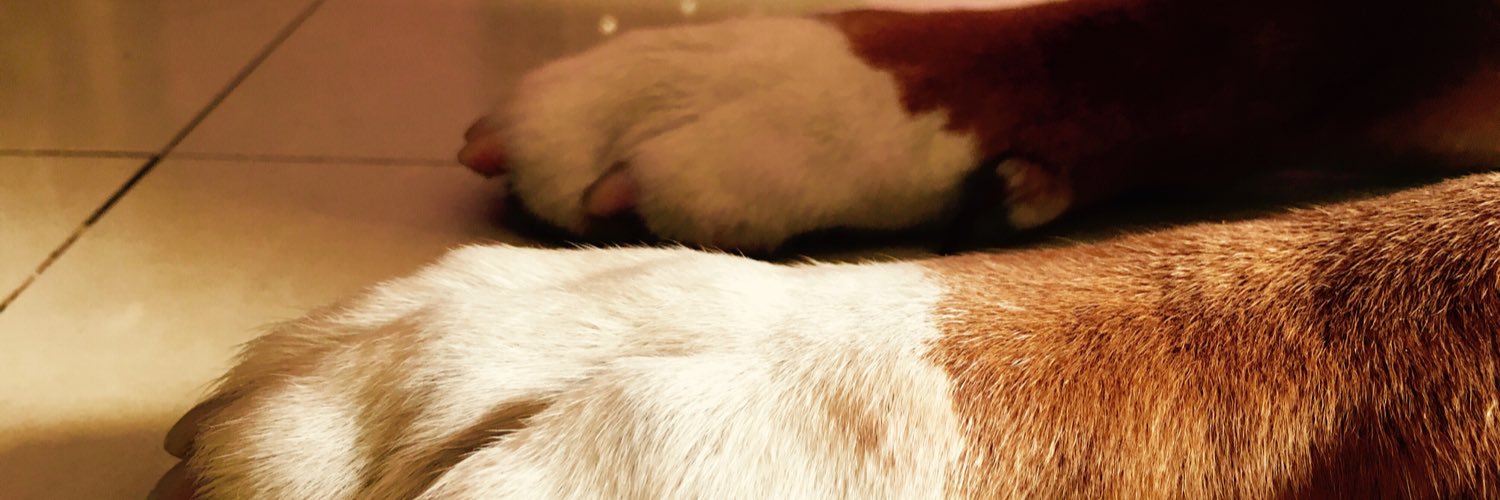 i_m_utsa's profile banner image