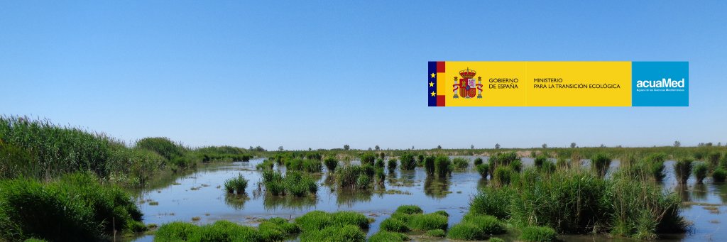 Humedales Delta Ebro banner